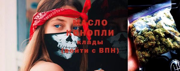 ECSTASY Ельня