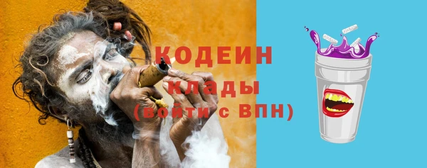 ECSTASY Ельня