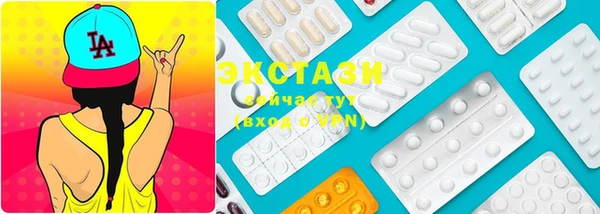 ECSTASY Ельня