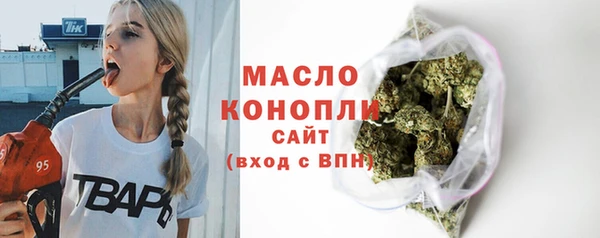 ECSTASY Ельня