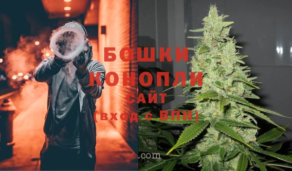 ECSTASY Ельня