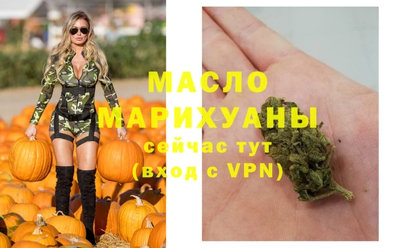 ECSTASY Ельня