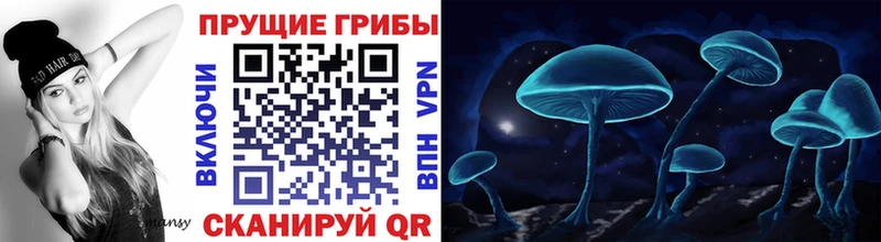 Псилоцибиновые грибы Cubensis  Купить закладки  Нерехта 